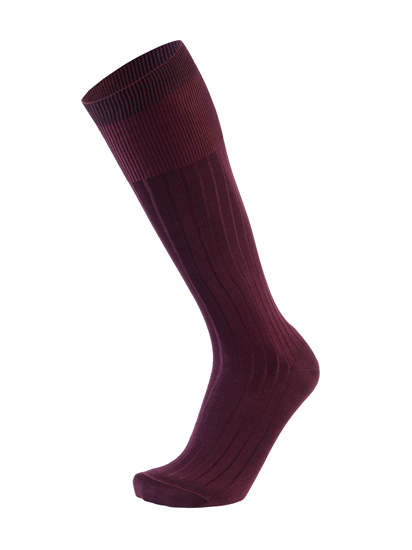 Picture of HIGH KNEE CANALÉ BORDEAUX