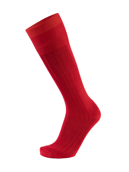 Picture of HIGH KNEE CANALÉ RED